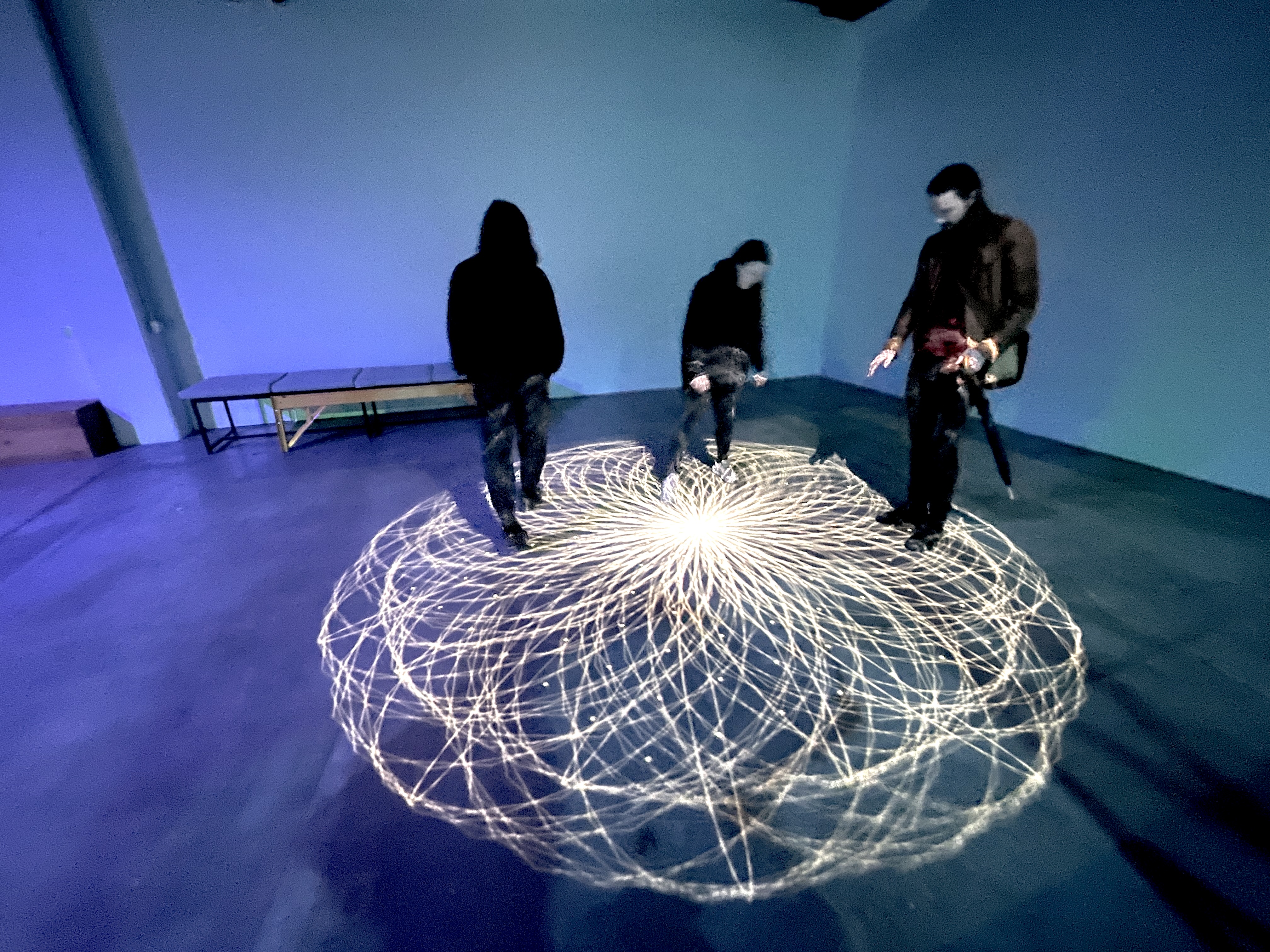 Triadic Mutualism installation view